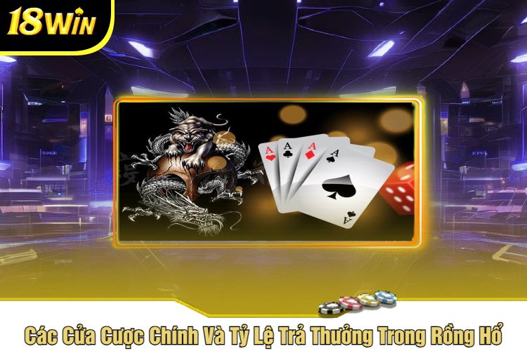 Các Cửa Cược Chính Và Tỷ Lệ Trả Thưởng Trong Rồng Hổ
